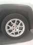 Jeep Renegade 1.5 turbo t4 mhev Altitude 2wd dct Bianco - thumbnail 16