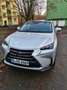 Lexus NX 300h NX 300h E-FOUR Executive-Line Premium SPORTWAGEN Silber - thumbnail 4