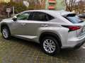 Lexus NX 300h NX 300h E-FOUR Executive-Line Premium SPORTWAGEN Silber - thumbnail 32