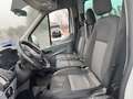 Ford Transit Bus Transit 310 2.0TDCi 9 posti 130CV PM-TM tg:FF100VT Blanco - thumbnail 14