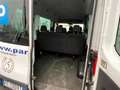 Ford Transit Bus Transit 310 2.0TDCi 9 posti 130CV PM-TM tg:FF100VT Blanco - thumbnail 15