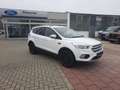 Ford Kuga 1.5 EcoBoost Trend SHZ Klima Bluetooth Blanc - thumbnail 4