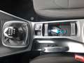Ford Kuga 1.5 EcoBoost Trend SHZ Klima Bluetooth Weiß - thumbnail 23