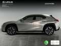 Lexus UX 250h 2.0 Premium Grijs - thumbnail 6