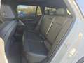 BMW 530 e Touring M Sportpaket Pro*DAPro*h/k*AHK*20" Grau - thumbnail 23