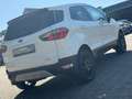 Ford EcoSport Titanium/Navi/AHK/Leder/KeyGo/SHZ/17 "Alu Blanc - thumbnail 9