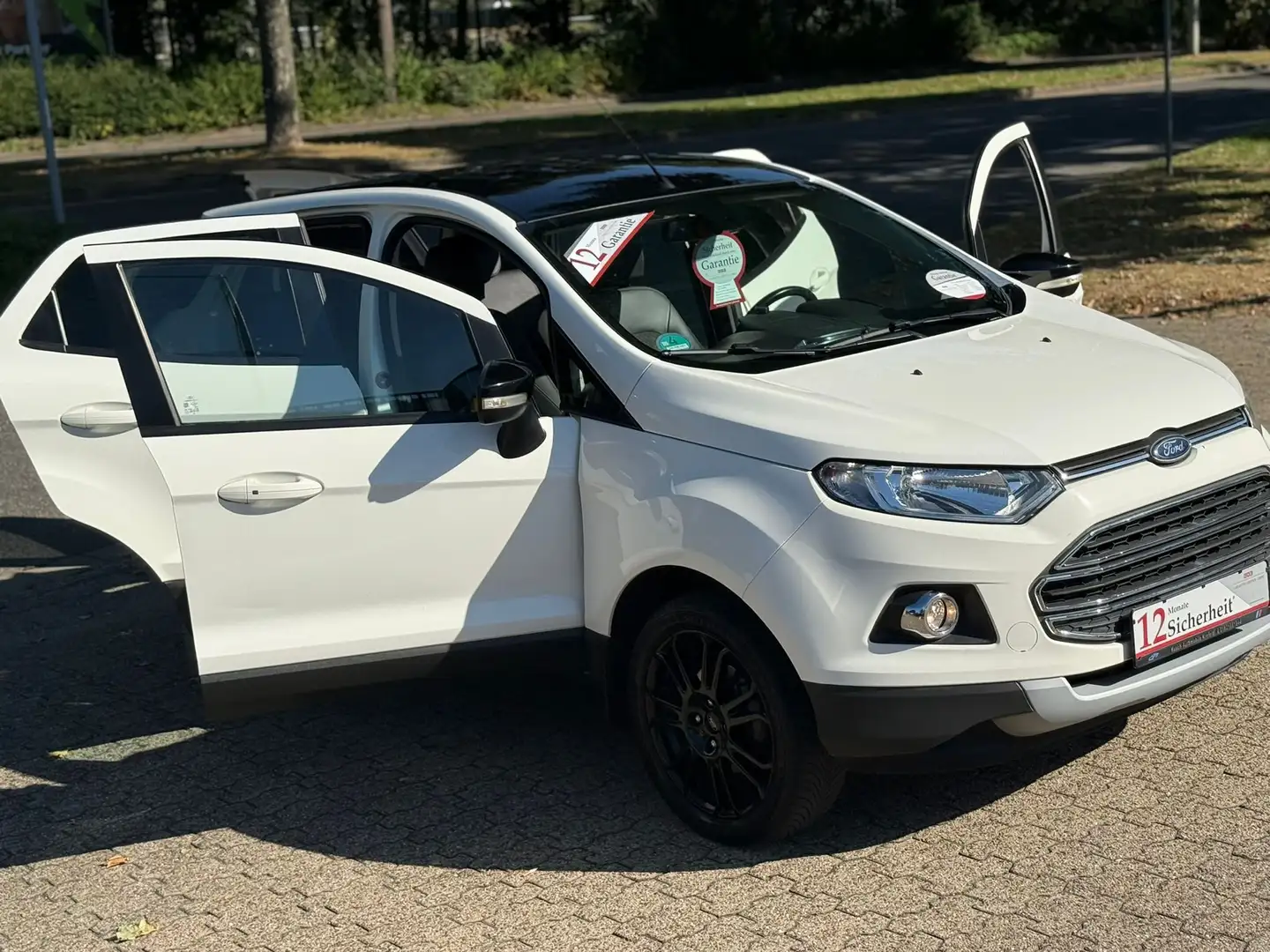 Ford EcoSport Titanium/Navi/AHK/Leder/KeyGo/SHZ/17 "Alu Blanc - 1