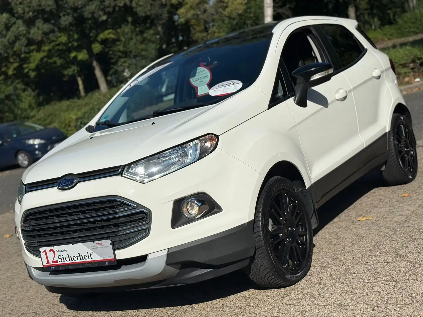 Ford EcoSport Titanium/Navi/AHK/Leder/KeyGo/SHZ/17 "Alu Wit - 1