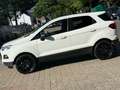 Ford EcoSport Titanium/Navi/AHK/Leder/KeyGo/SHZ/17 "Alu Blanc - thumbnail 5