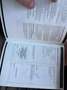 Land Rover Range Rover Evoque 2.2 SD4 4WD Automaat Pano Zwart - thumbnail 16