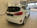 Ford Fiesta 1.1 85 CV 5 porte Titanium Bianco - thumbnail 6