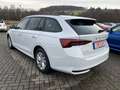 Skoda Octavia Combi 2,0 TDI DSG Selection + 16 Zoll + ACC + AHK Weiß - thumbnail 7