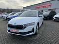 Skoda Octavia Combi 2,0 TDI DSG Selection + 16 Zoll + ACC + AHK Weiß - thumbnail 1