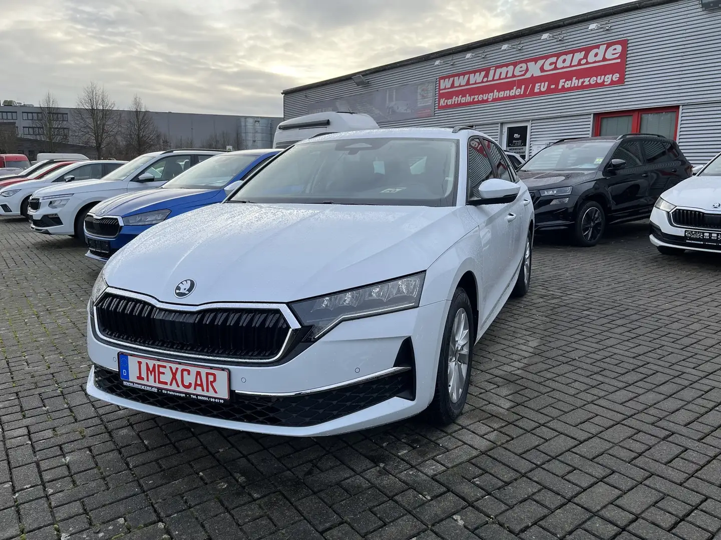 Skoda Octavia Combi 2,0 TDI DSG Selection + 16 Zoll + ACC + AHK Weiß - 1