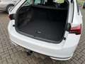 Skoda Octavia Combi 2,0 TDI DSG Selection + 16 Zoll + ACC + AHK Weiß - thumbnail 6