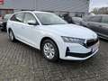Skoda Octavia Combi 2,0 TDI DSG Selection + 16 Zoll + ACC + AHK Weiß - thumbnail 3