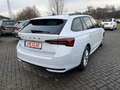 Skoda Octavia Combi 2,0 TDI DSG Selection + 16 Zoll + ACC + AHK Weiß - thumbnail 4
