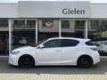 Lexus CT 200h Business Line Pro F Sport Grill | Parkeercamera, K Blanc - thumbnail 10