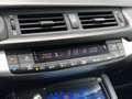 Lexus CT 200h Business Line Pro F Sport Grill | Parkeercamera, K Blanc - thumbnail 27