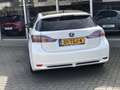 Lexus CT 200h Business Line Pro F Sport Grill | Parkeercamera, K Fehér - thumbnail 12