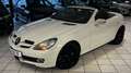 Mercedes-Benz SLK 200 Kompressor TÜV&AU neu&Garantie Weiß - thumbnail 15