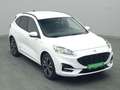 Ford Kuga ST-Line X 190PS Aut. Wit - thumbnail 25