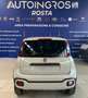 Fiat Panda 4x40° 0.9 twinair 85cv NUOVA DA IMMATRICOLARE Beige - thumbnail 6