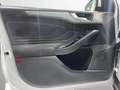 Ford Focus 1.0 Ecoboost MHEV 114kW Active Style SIP Blanco - thumbnail 25