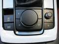 Mazda CX-30 e-Skyactive G140 Nagisa Grau - thumbnail 21