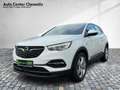 Opel Grandland 1.6 AT8 Hybrid Edition LED/Navi/Ergo Wit - thumbnail 2