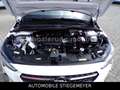 Opel Corsa F Edition Navi,Kamera,Tempomat Weiß - thumbnail 16
