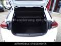 Opel Corsa F Edition Navi,Kamera,Tempomat Weiß - thumbnail 15