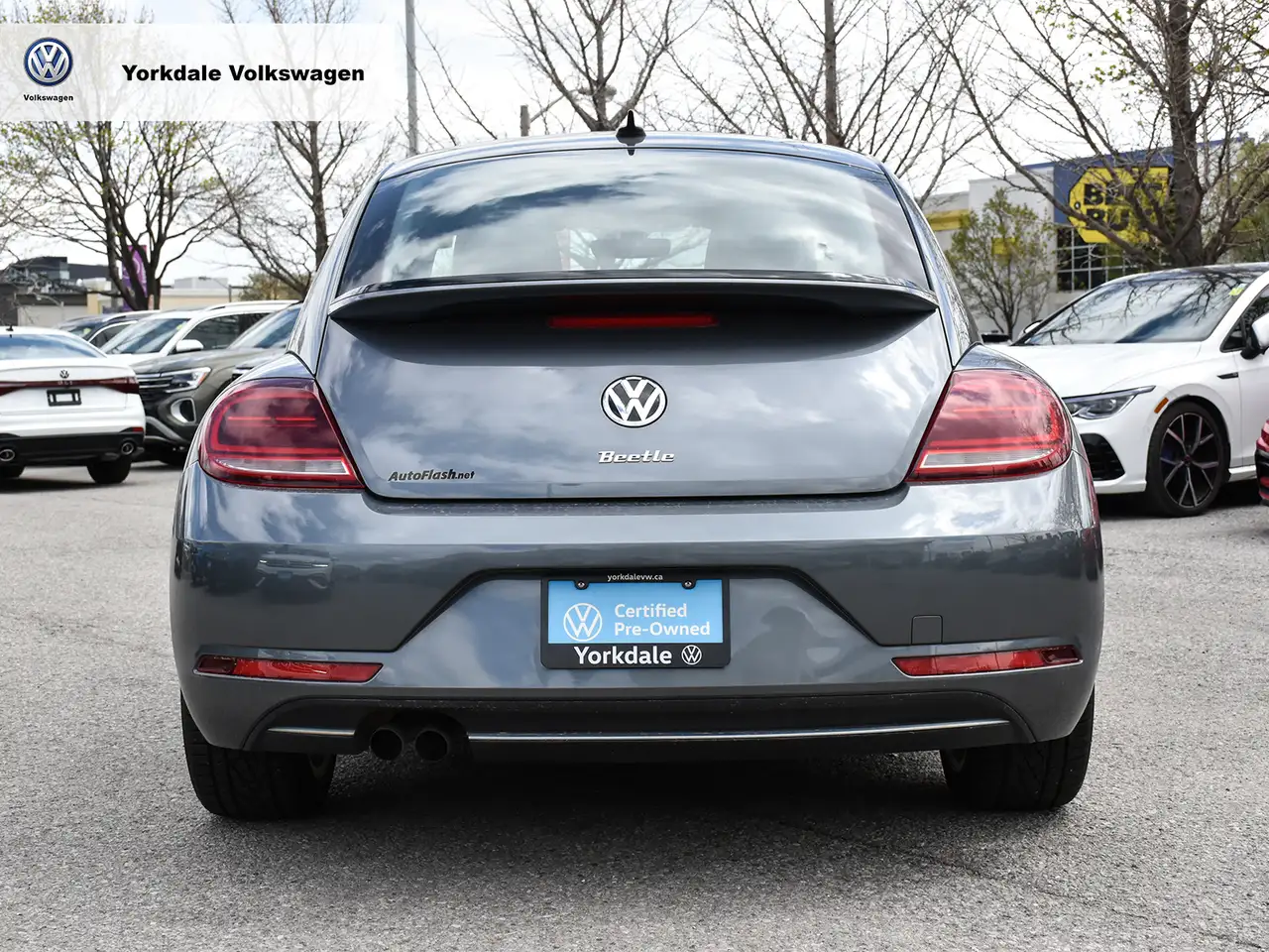 Volkswagen Beetle снимка Volkswagen Beetle