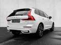 Volvo XC60 Ultimate Dark 2WD B4 Diesel EU6d HUD AD digitales Weiß - thumbnail 2