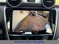 DFSK Rich 6 4X4, AHK 3to.,Laderaumbeschichtung,Kamera Bleu - thumbnail 15