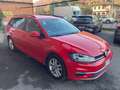 Volkswagen Golf Variant 1.6 TDI 115 CV Business BlueMotion Technology Rosso - thumbnail 6