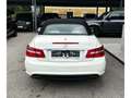 Mercedes-Benz E 500 V8 Cabrio *AMG-Line*HarmanK*Navi*Sitzlüftung* Weiß - thumbnail 10