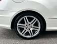 Mercedes-Benz E 500 V8 Cabrio *AMG-Line*HarmanK*Navi*Sitzlüftung* Weiß - thumbnail 12
