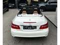 Mercedes-Benz E 500 V8 Cabrio *AMG-Line*HarmanK*Navi*Sitzlüftung* Weiß - thumbnail 18