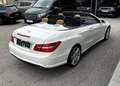 Mercedes-Benz E 500 V8 Cabrio *AMG-Line*HarmanK*Navi*Sitzlüftung* Weiß - thumbnail 19