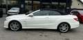 Mercedes-Benz E 500 V8 Cabrio *AMG-Line*HarmanK*Navi*Sitzlüftung* Weiß - thumbnail 6