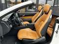 Mercedes-Benz E 500 V8 Cabrio *AMG-Line*HarmanK*Navi*Sitzlüftung* Weiß - thumbnail 24