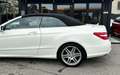 Mercedes-Benz E 500 V8 Cabrio *AMG-Line*HarmanK*Navi*Sitzlüftung* Weiß - thumbnail 8