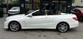 Mercedes-Benz E 500 V8 Cabrio *AMG-Line*HarmanK*Navi*Sitzlüftung* Weiß - thumbnail 16