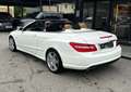 Mercedes-Benz E 500 V8 Cabrio *AMG-Line*HarmanK*Navi*Sitzlüftung* Weiß - thumbnail 17