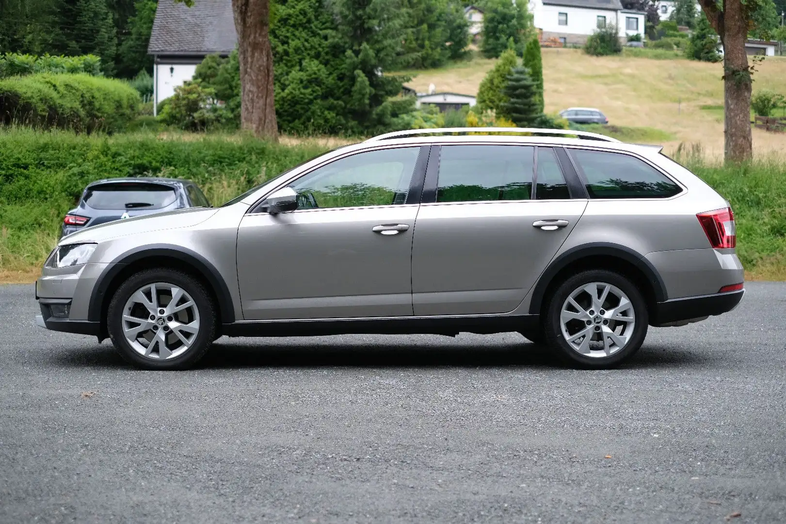 Skoda Octavia 2.0 TDI Green tec DSG 4x4 Scout Combi Beige - 2