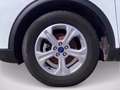 Ford Kuga 1.5 ecoblue Connect 2wd 120cv Bianco - thumbnail 6