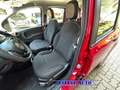 Fiat Panda PROMO FINANZ 1.0 HYBRID 5 POSTI +PACK CITY KM 0 Rosso - thumbnail 10