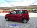 Fiat Panda PROMO FINANZ 1.0 HYBRID 5 POSTI +PACK CITY KM 0 Rosso - thumbnail 6