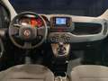 Fiat Panda 1.0 hybrid s&s 70cv 5p.ti - PROMO Nero - thumbnail 6